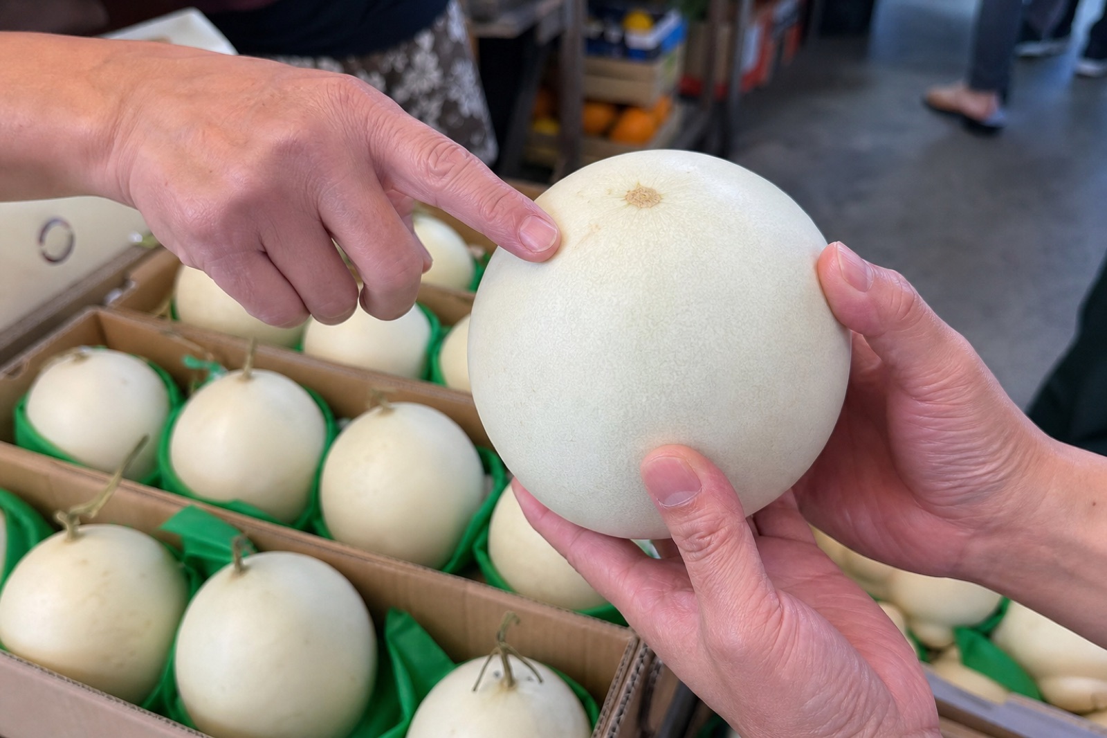 香港果店顧客檢查玉菇甜瓜果皮