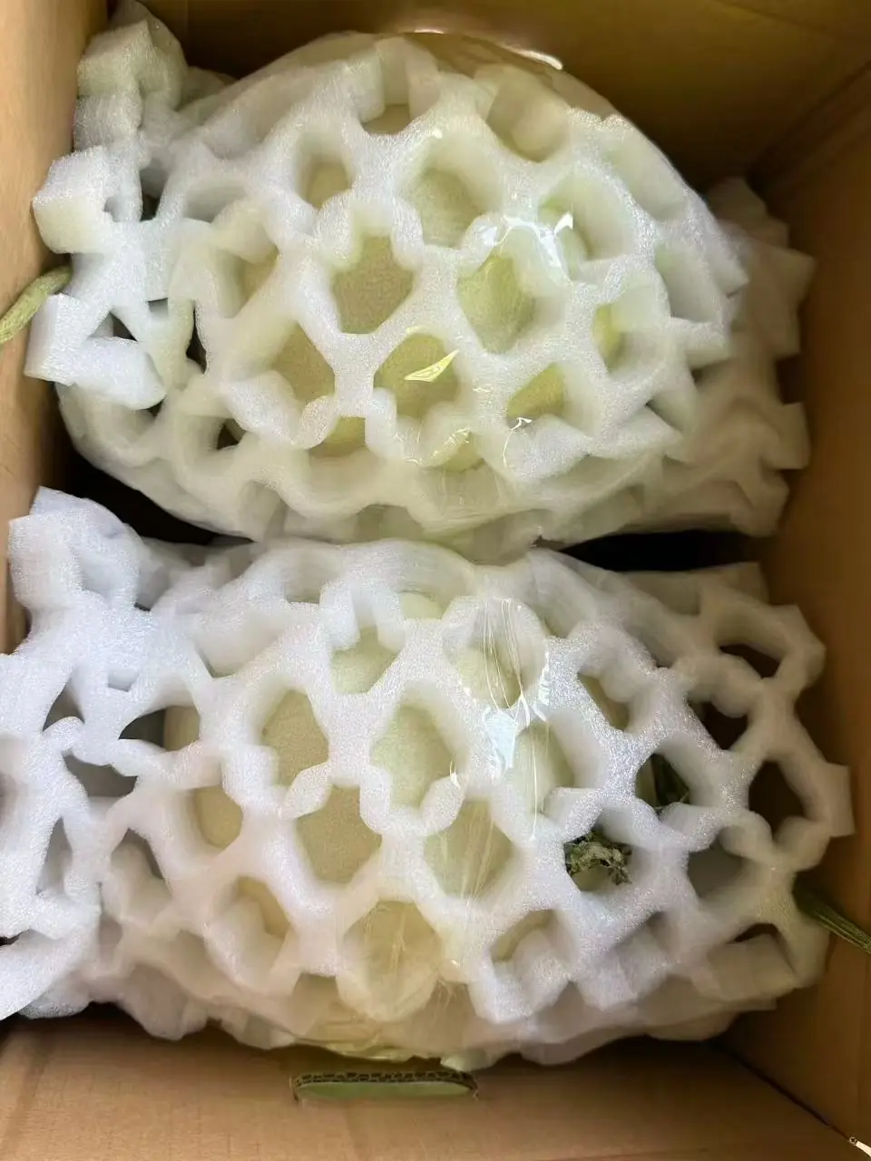 新疆哈密瓜產地包裝實拍：果實套泡沫網後裝入紙箱。