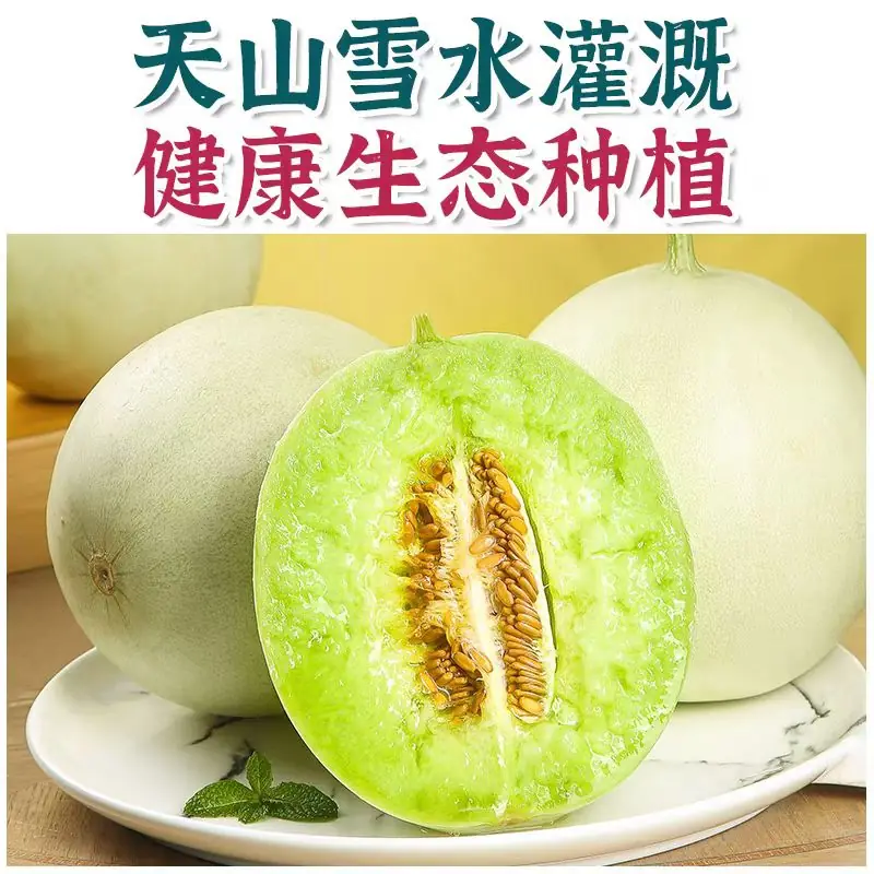 新疆哈密原產地實拍：青肉蜜瓜剖面，果肉清亮綠色（產地亦稱玉菇）
